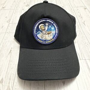 Simpsons FOX Promo Hat Baseball Cap 2018 Homer Sperm NASA Matt Groening Micro-11